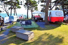 빛의 공원 미디어아트 - 주변 여행 및 근처 관광 명소 - 국내 여행 정보와 관광 명소 정보