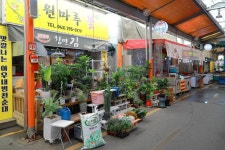 원마루시장 쇼핑 정보와 주변 관광 명소 및 근처 맛집 여행 정보