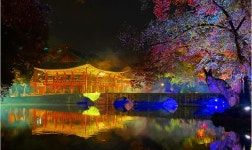 친절식당 음식점 정보와 주변 관광 명소 및 근처 맛집 여행 정보