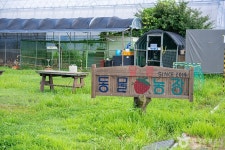 달콤딸기농장 관광 정보와 주변 관광 명소 및 근처 맛집 여행 정보