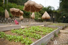 팜다원 관광 정보와 주변 관광 명소 및 근처 맛집 여행 정보