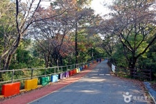 보문산 행복 숲 둘레길 관광 정보와 주변 관광 명소 및 근처 맛집 여행 정보