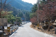 축령산자연휴양림 관광 정보와 주변 관광 명소 및 근처 맛집 여행 정보