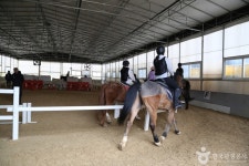 교하스카이승마클럽 레저스포츠 정보와 주변 관광 명소 및 근처 맛집 여행 정보