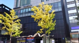 비비브라운 - 주변 여행 및 근처 관광 명소 - 국내 여행 정보와 관광 명소 정보