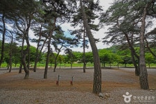 후평숲캠핑장 레저스포츠 정보와 주변 관광 명소 및 근처 맛집 여행 정보