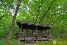 소백산 가리점마을(마조리마을) 관광 정보와 주변 관광 명소 및 근처 맛집 여행 정보