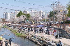 궁원 - 주변 여행 및 근처 관광 명소 - 국내 여행 정보와 관광 명소 정보