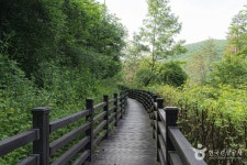 국립양평치유의숲 관광 정보와 주변 관광 명소 및 근처 맛집 여행 정보