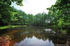 도롱이연못 관광 정보와 주변 관광 명소 및 근처 맛집 여행 정보
