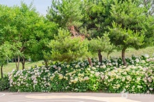 내리문화공원 - 주변 여행 및 근처 관광 명소 - 국내 여행 정보와 관광 명소 정보