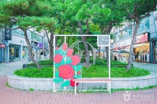 장미의거리 관광 정보와 주변 관광 명소 및 근처 맛집 여행 정보