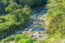 고운동계곡 관광 정보와 주변 관광 명소 및 근처 맛집 여행 정보