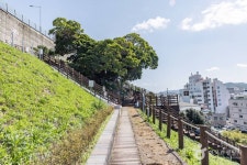 서피랑공원 관광 정보와 주변 관광 명소 및 근처 맛집 여행 정보