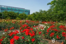 나불지 생태공원 - 주변 여행 및 근처 관광 명소 - 국내 여행 정보와 관광 명소 정보