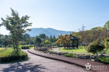 장성호관광지 관광 정보와 주변 관광 명소 및 근처 맛집 여행 정보