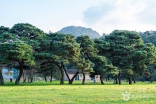 구송정 유원지 관광 정보와 주변 관광 명소 및 근처 맛집 여행 정보