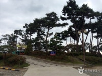 청포대하와이펜션 숙박 정보와 주변 관광 명소 및 근처 맛집 여행 정보