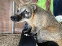 천생산성산림욕장 - 주변 여행 및 근처 관광 명소 - 국내 여행 정보와 관광 명소 정보