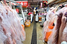 부경축산물주촌도매시장 쇼핑 정보와 주변 관광 명소 및 근처 맛집 여행 정보