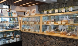 카페477플러스 음식점 정보와 주변 관광 명소 및 근처 맛집 여행 정보