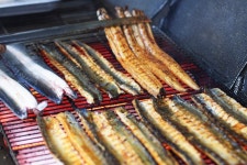 한방장어구이 음식점 정보와 주변 관광 명소 및 근처 맛집 여행 정보