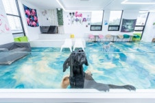 댕댕클럽 음식점 정보와 주변 관광 명소 및 근처 맛집 여행 정보