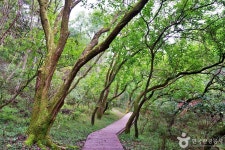 천룡컨트리클럽 - 주변 여행 및 근처 관광 명소 - 국내 여행 정보와 관광 명소 정보