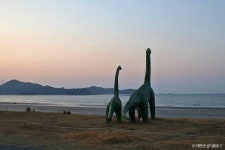 신두리해수욕장 관광 정보와 주변 관광 명소 및 근처 맛집 여행 정보