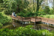 용인자연휴양림 관광 정보와 주변 관광 명소 및 근처 맛집 여행 정보