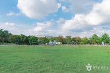 평화잔디광장 관광 정보와 주변 관광 명소 및 근처 맛집 여행 정보