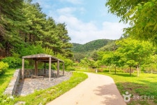 매쟁이골 관광 정보와 주변 관광 명소 및 근처 맛집 여행 정보