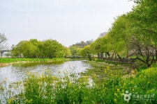 경주석장동암각화 - 주변 여행 및 근처 관광 명소 - 국내 여행 정보와 관광 명소 정보