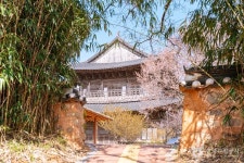 초의선사탄생지 관광 정보와 주변 관광 명소 및 근처 맛집 여행 정보