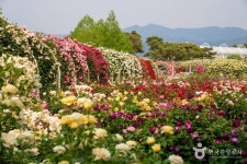 미실란 밥카페 반하다 - 주변 여행 및 근처 관광 명소 - 국내 여행 정보와 관광 명소 정보