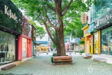 장미의거리 관광 정보와 주변 관광 명소 및 근처 맛집 여행 정보