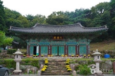 국청사(부산) - 주변 여행 및 근처 관광 명소 - 국내 여행 정보와 관광 명소 정보