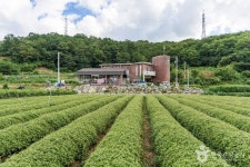 금산 바리실마을 관광 정보와 주변 관광 명소 및 근처 맛집 여행 정보