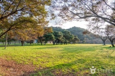 구송정 유원지 관광 정보와 주변 관광 명소 및 근처 맛집 여행 정보
