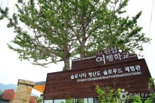 전남 완도 청산도 [슬로시티] 관광 정보와 주변 관광 명소 및 근처 맛집 여행 정보