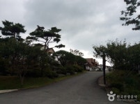 청포대하와이펜션 숙박 정보와 주변 관광 명소 및 근처 맛집 여행 정보