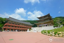 방방곡곡 여행지