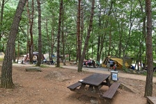 지리산내원자동차야영장 레저스포츠 정보와 주변 관광 명소 및 근처 맛집 여행 정보