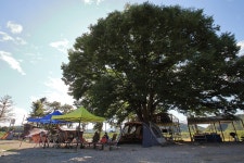 옥천문화예술회관 - 주변 여행 및 근처 관광 명소 - 국내 여행 정보와 관광 명소 정보