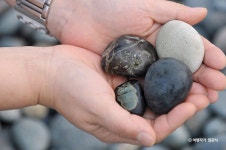 사촌해수욕장 - 주변 여행 및 근처 관광 명소 - 국내 여행 정보와 관광 명소 정보