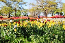 영랑호 설화공원 관광 정보와 주변 관광 명소 및 근처 맛집 여행 정보