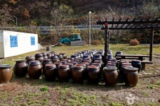 충주 상대촌농촌체험마을 관광 정보와 주변 관광 명소 및 근처 맛집 여행 정보