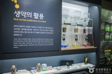 생약누리 관광 정보와 주변 관광 명소 및 근처 맛집 여행 정보
