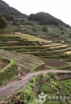 Gacheon Daraengi Village (가천 다랭이마을) - Sightseeing - Korea travel and tourism information