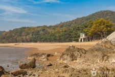 장봉도 한들해수욕장 관광 정보와 주변 관광 명소 및 근처 맛집 여행 정보